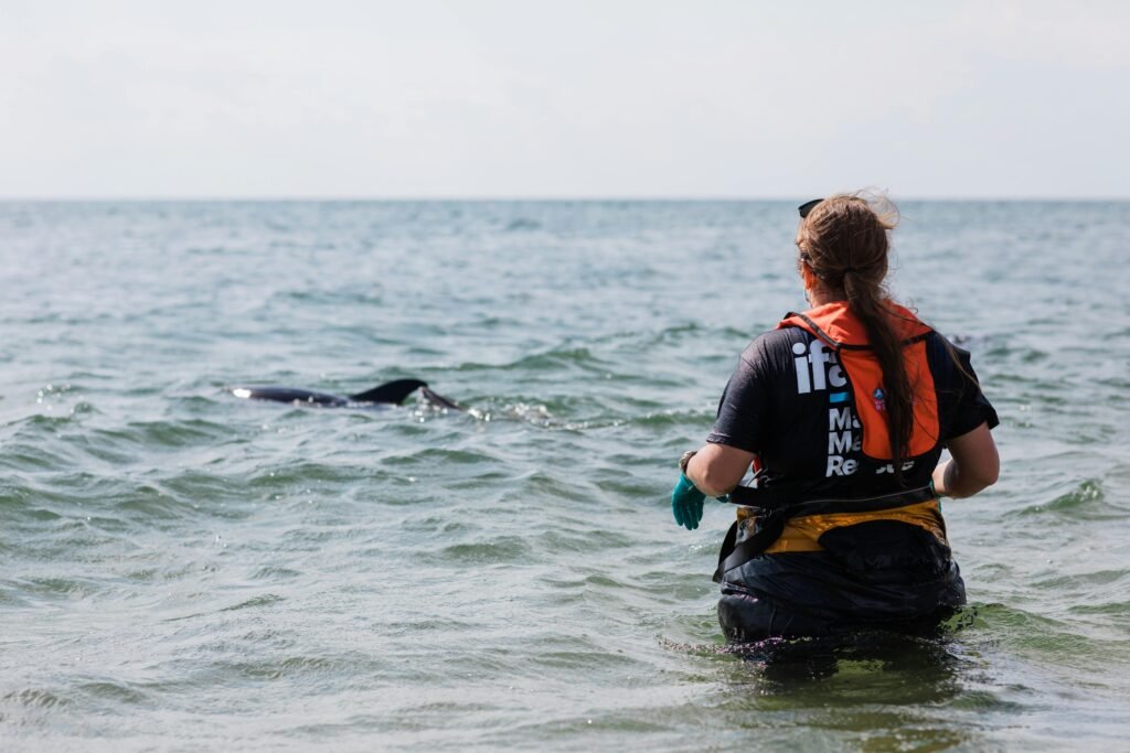 a Marine Biologist